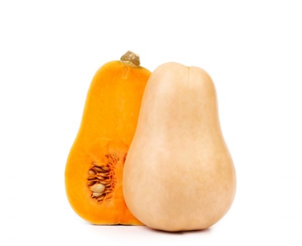 courges-butternut-ofermier