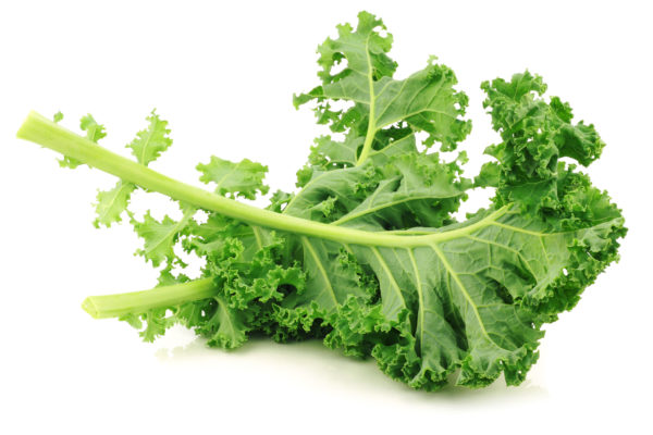 chou-kale-ofermier